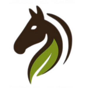 Group logo of Executive Team