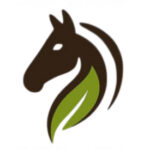 Group logo of Executive Team